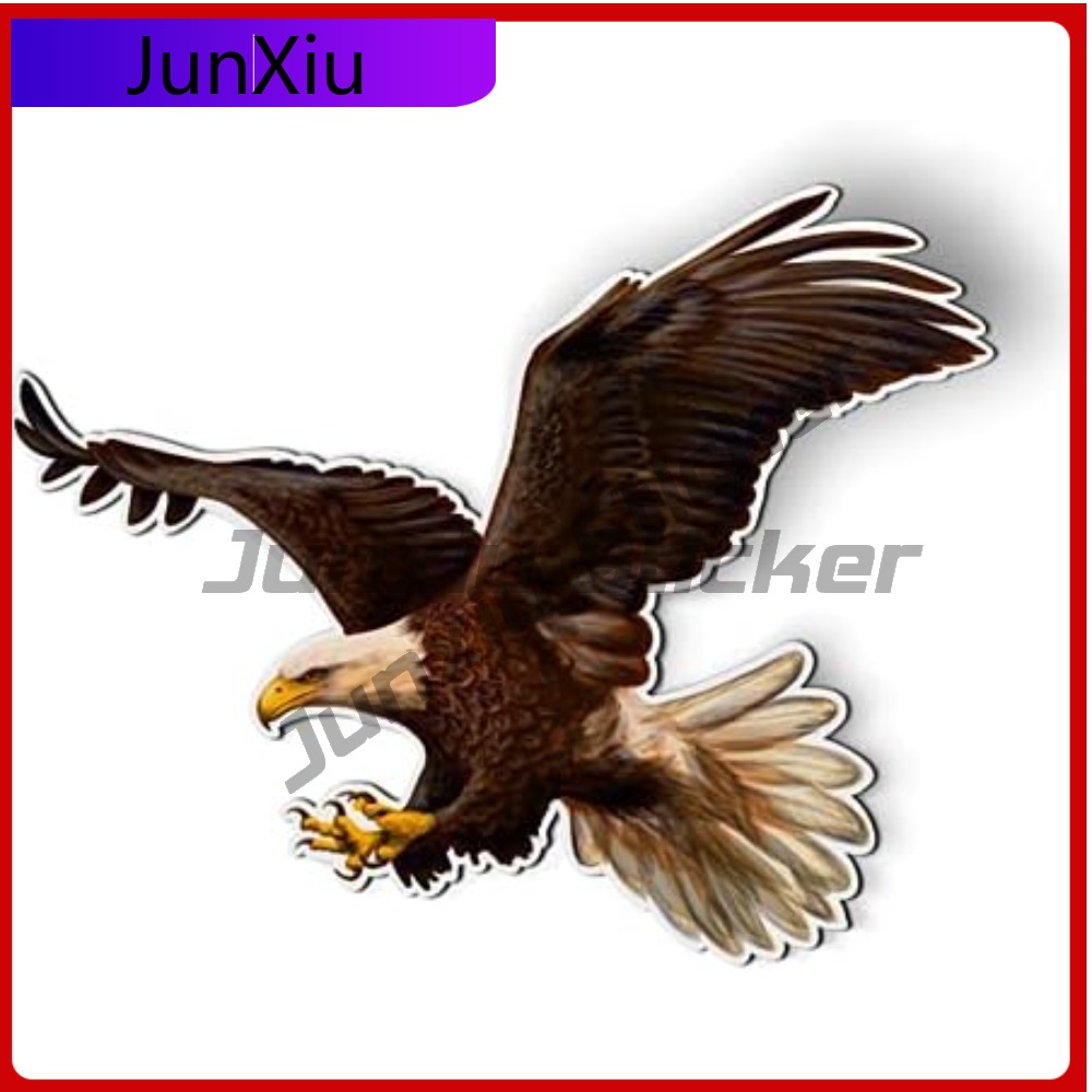 Bald Eagle American Eye Catchi – обзор и цена Laptop Accessories To Have
