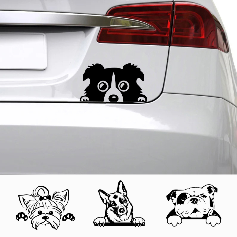 Cars Accessorie Decals Funny D – обзор и цена Apple Accessories Laptop